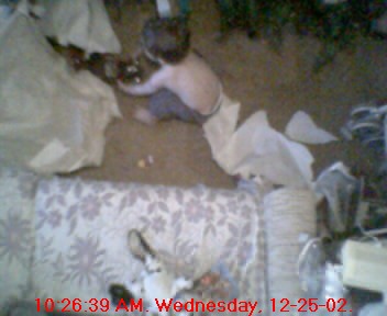 xmas10_26.39.jpg